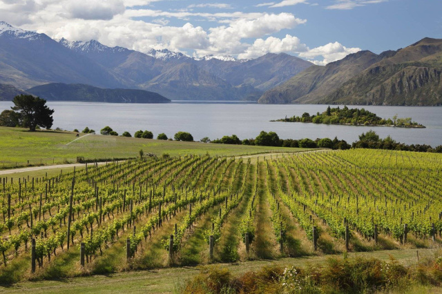 Новинки из Новой Зеландии от Urlar в сети винотек Barrique
