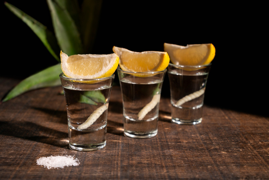 Качественная текила должна быть на 100% сделана из агавы