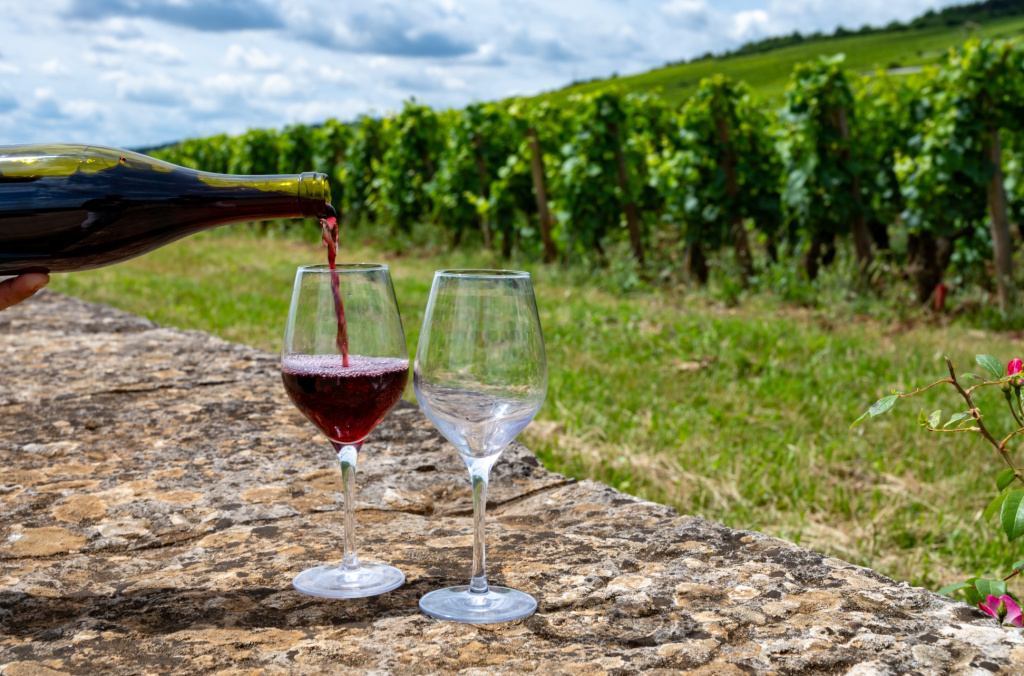 Разобраться в иерархии французских вин может быть весьма трудно