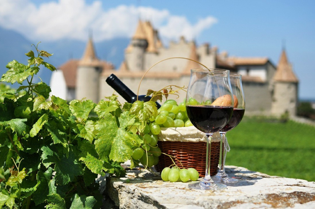 Вина из Италии порадуют большим разнообразием вкусов и ароматов
