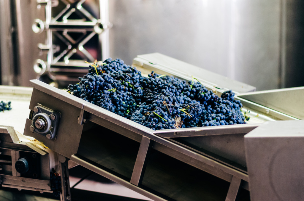 Выбирать вино нужно по вкусу, а не из-за метода производства