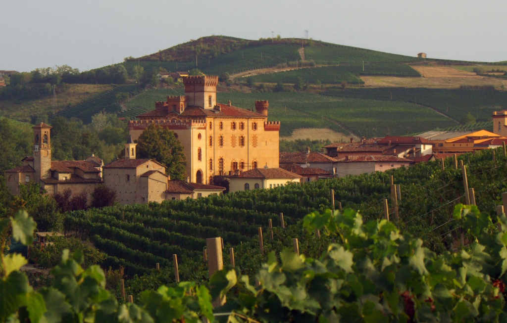Итальянские вина известны по всему миру благодаря своим отменным качествам