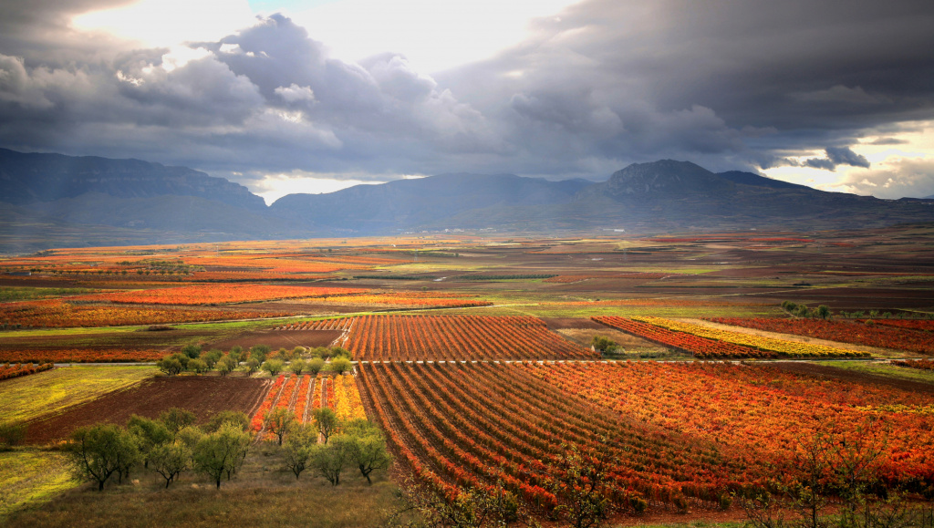 Ла-Риоха - один из ключевых винодельческих регионов Аргентины