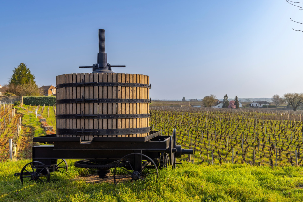 Умение читать этикетку может спасти от неудачной покупки
