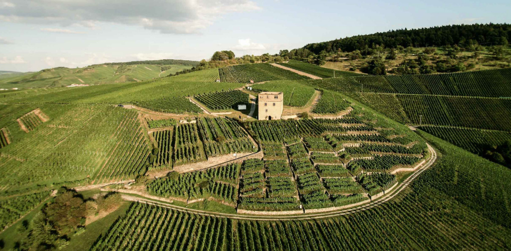 Винодельческие регионы Германии обладают своей спецификой и особым климатом