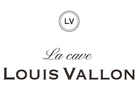 Louis Vallon