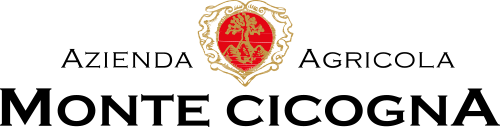 Monte Cicogna